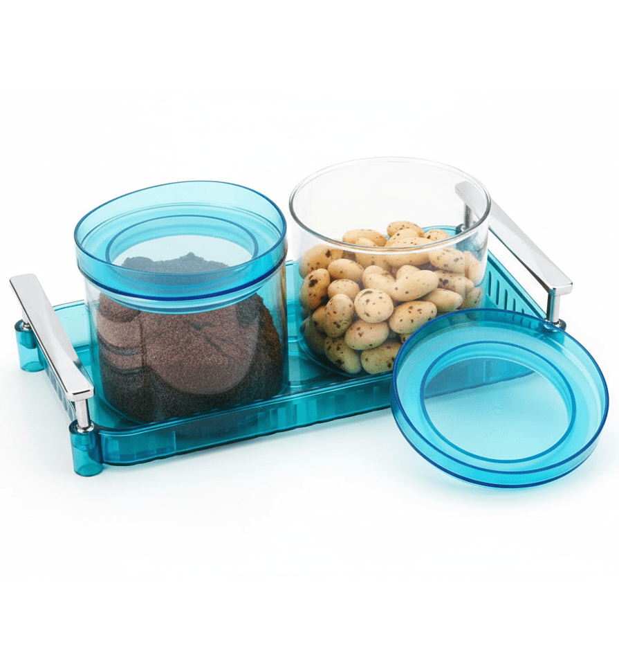 Trayonix Multipurpose Airtight 2-Piece Plastic Jar Set with Silver Handle Tray, 500ml, BPA-Free